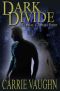 [Cormac and Amelia 01] • Dark Divide